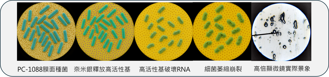 奈米銀抗菌原理